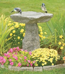 Two blue jays at a stone bird bath in a garden with pink and yellow flowers.