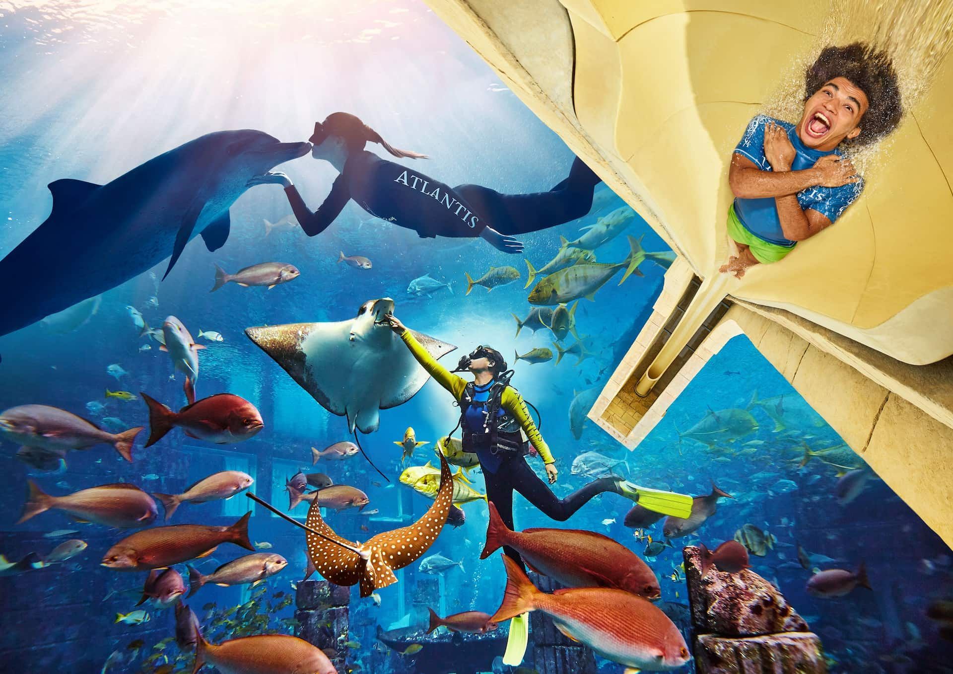AQUAVENTURE WATER PARK DUBAI