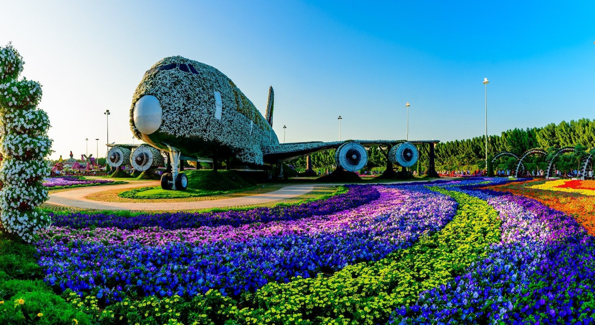 Dubai Miracle Garden with TravelZaha Tourism