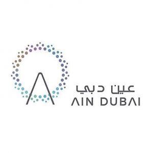 Ain Dubai with Tour Visionary