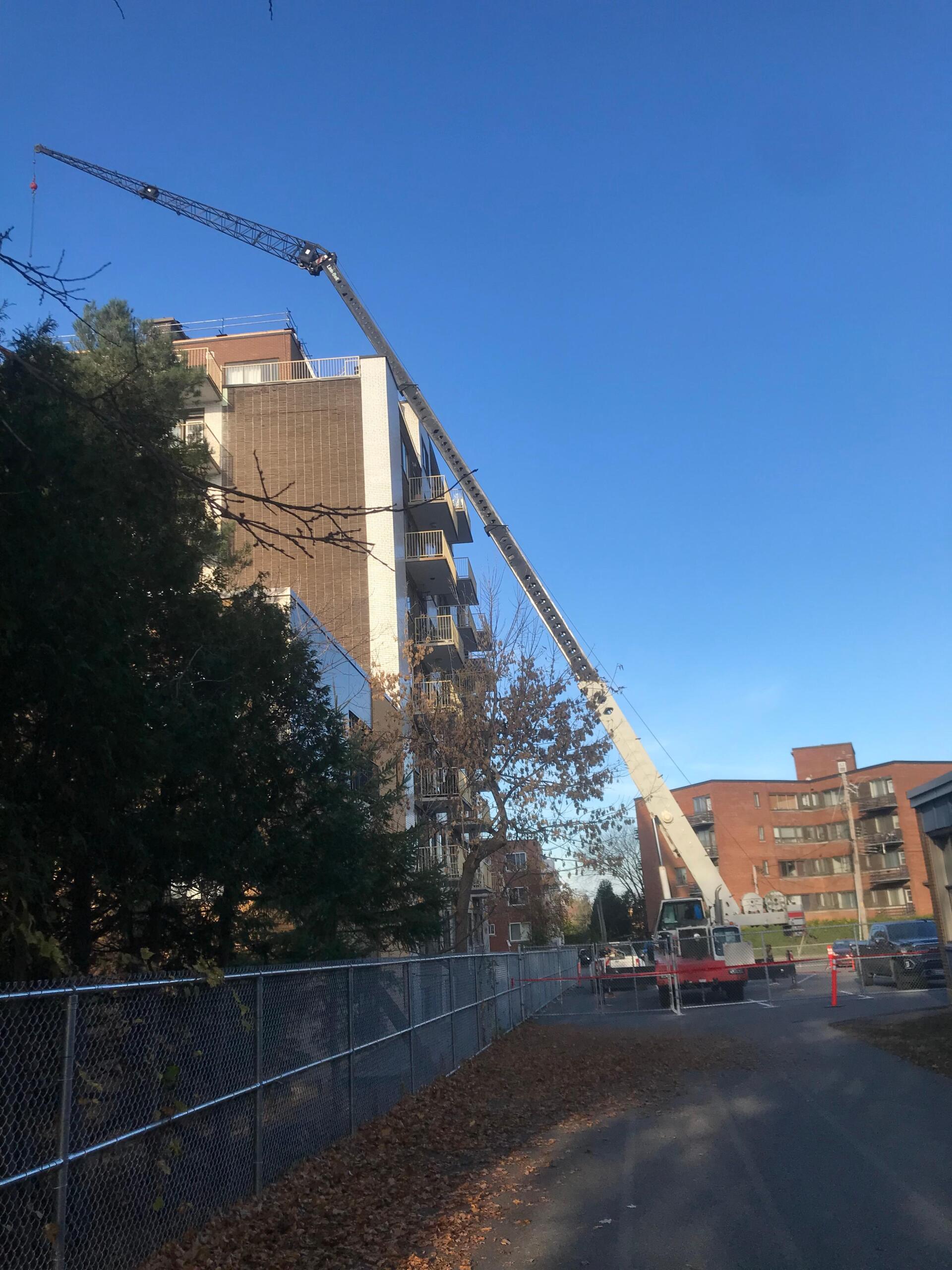A large crane is being used to remove a tree from a building