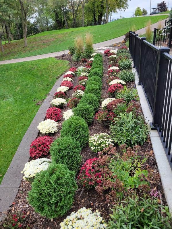 A garden filled with lots of flowers and shrubs next to a fence.