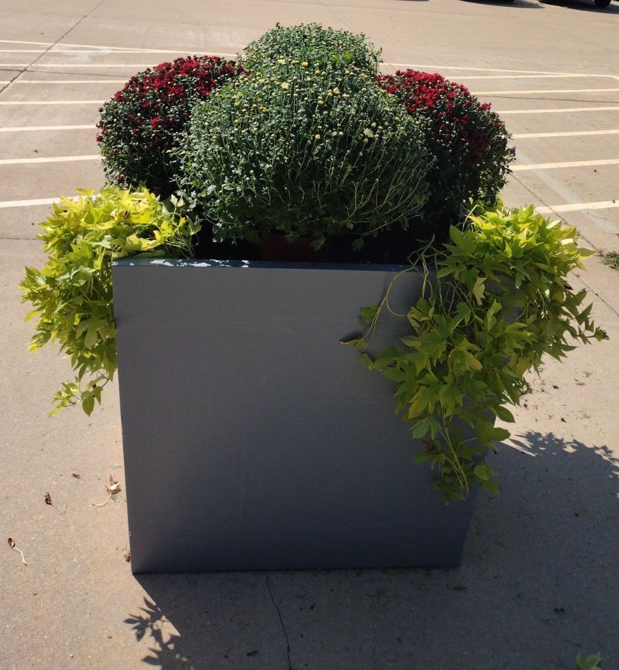 A planter filled with flowers and greenery sits on a sidewalk