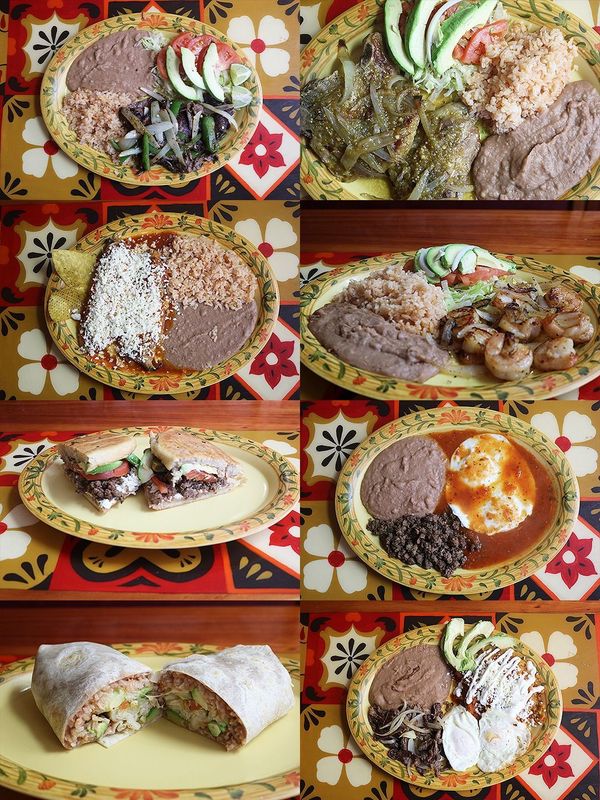 fresh mexican taco food