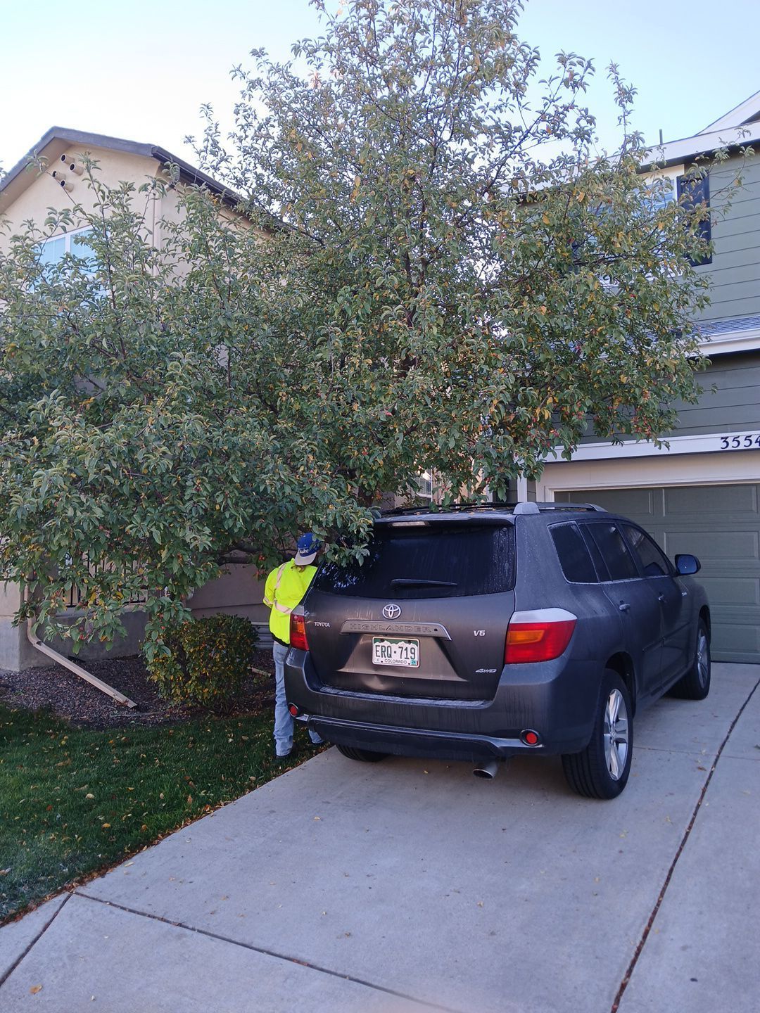 Tree Planting Services