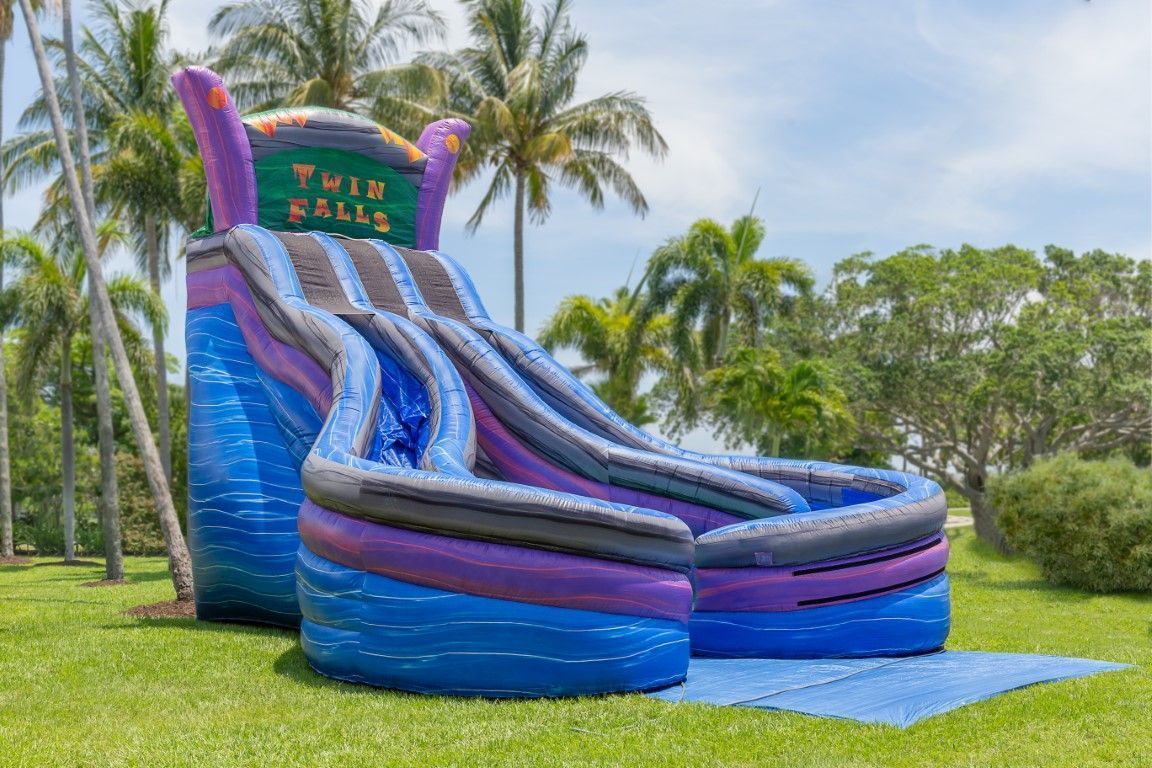 Colorful giant inflatable slide labeled “The Wild Rides” on a grassy lawn with palm trees.