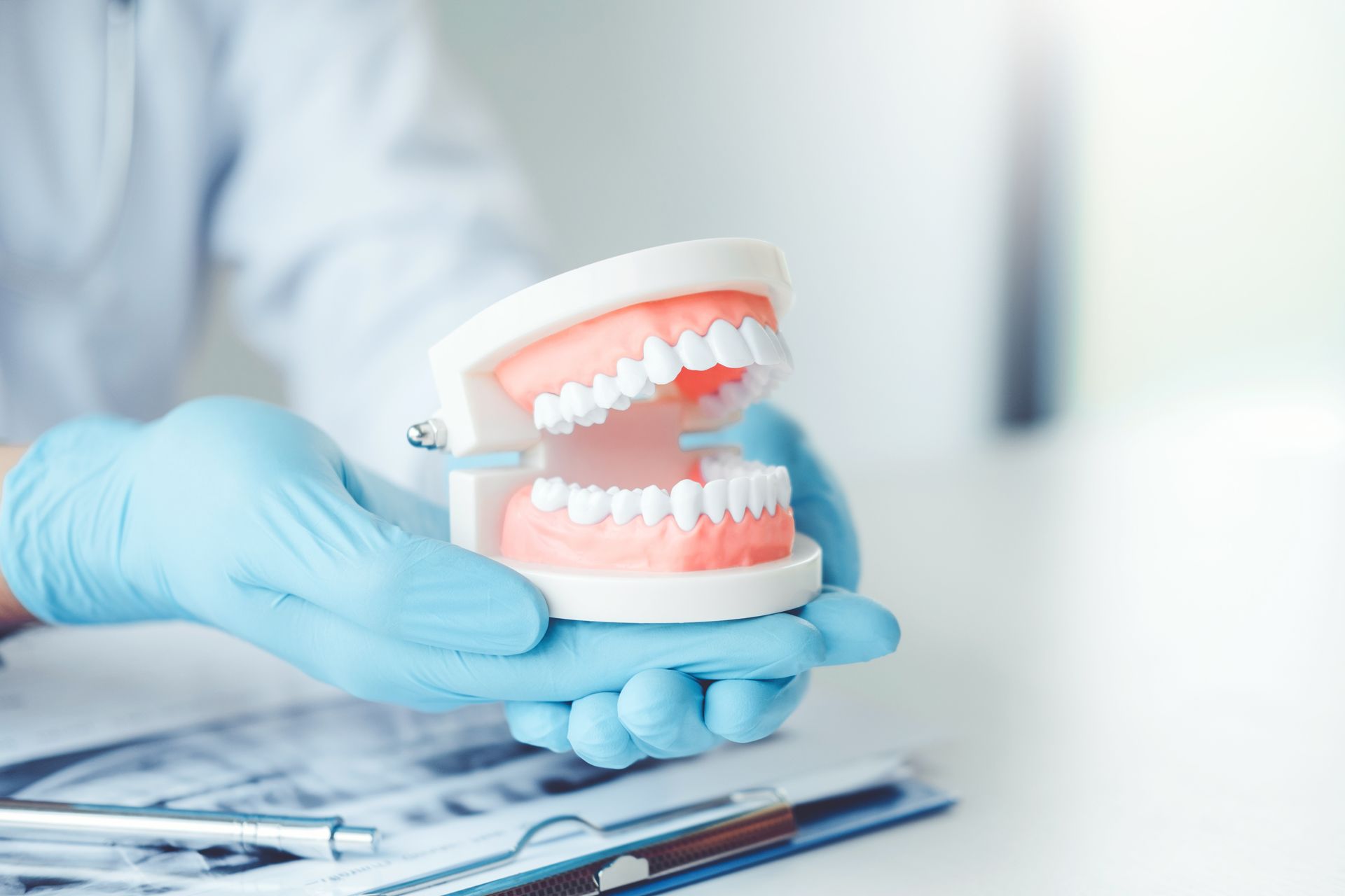 Gloved hands holding a dental model with pink gums and white teeth on a desk