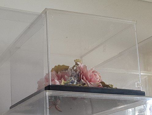 clear plastic cylinder box Sydney