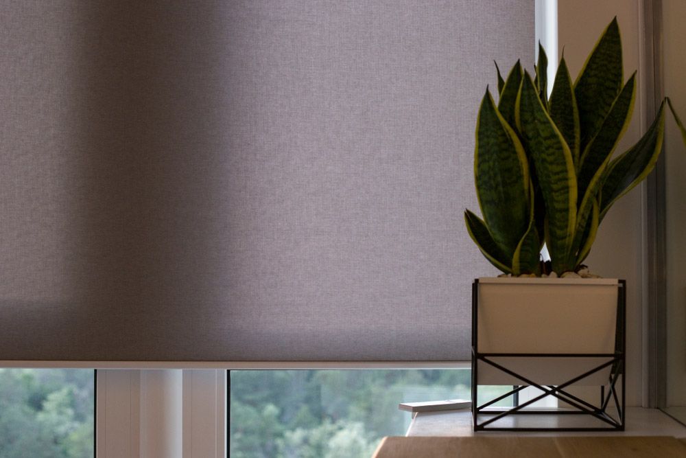 Roller Blinds On The Window