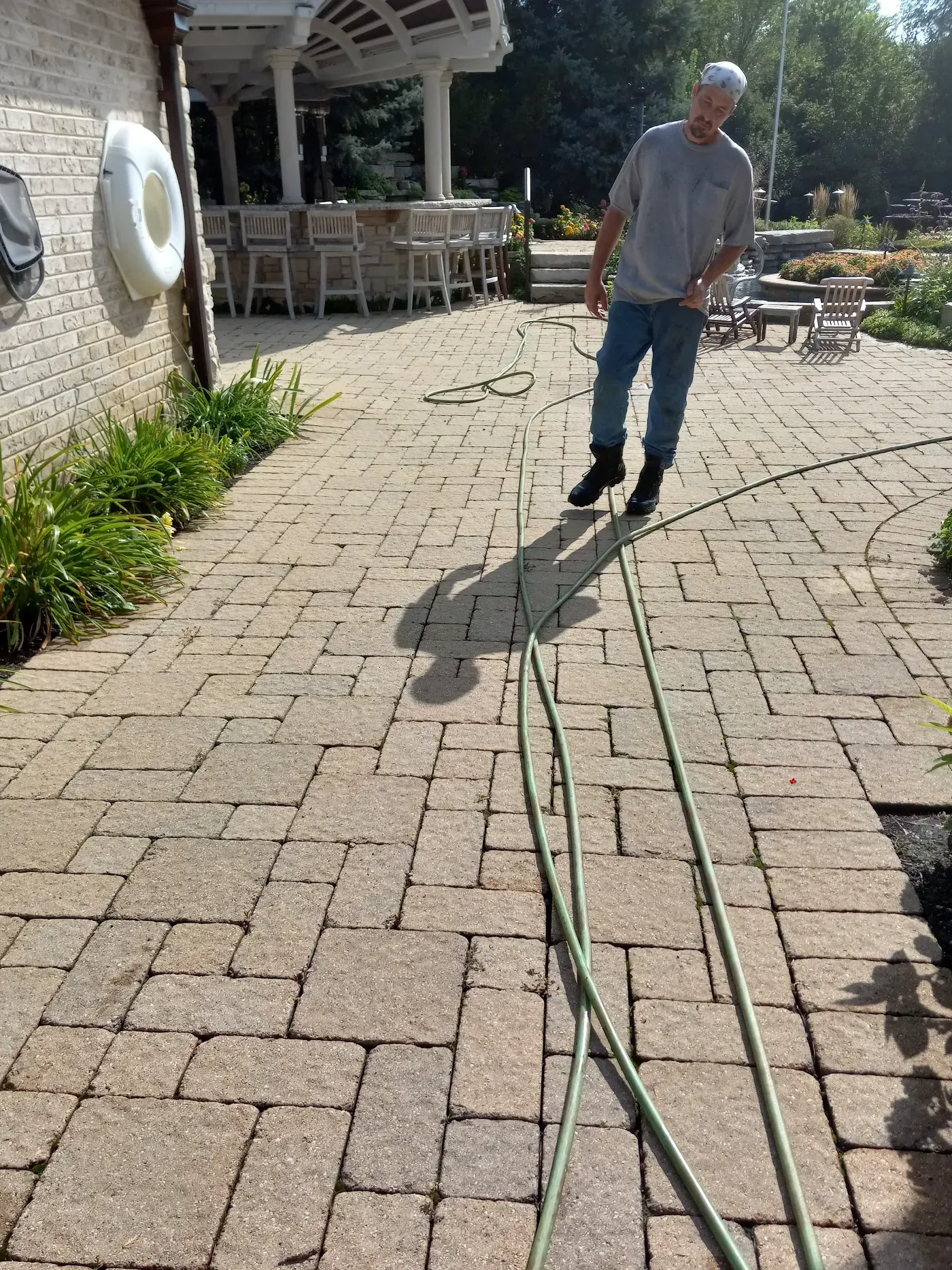pest control