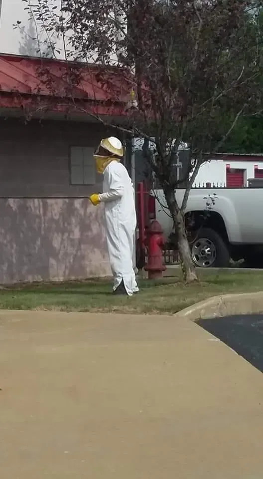 pest control