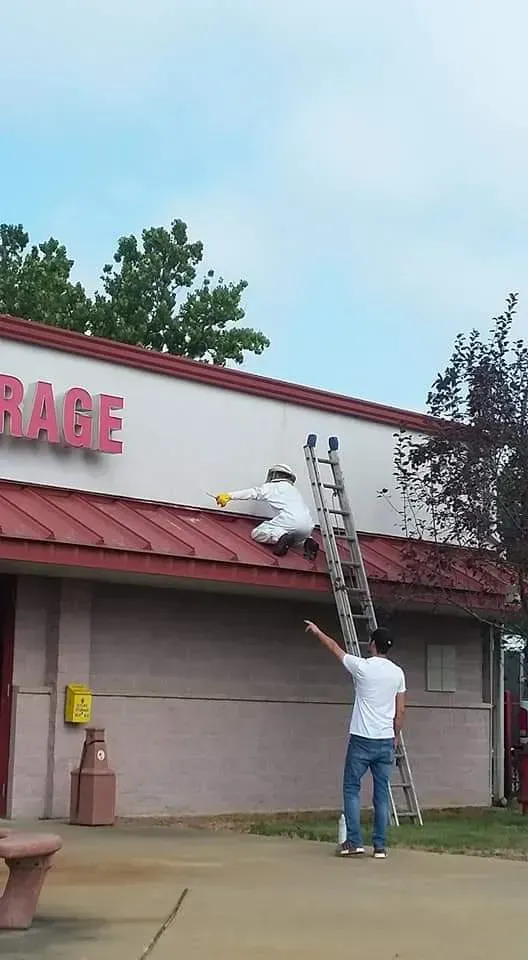 pest control