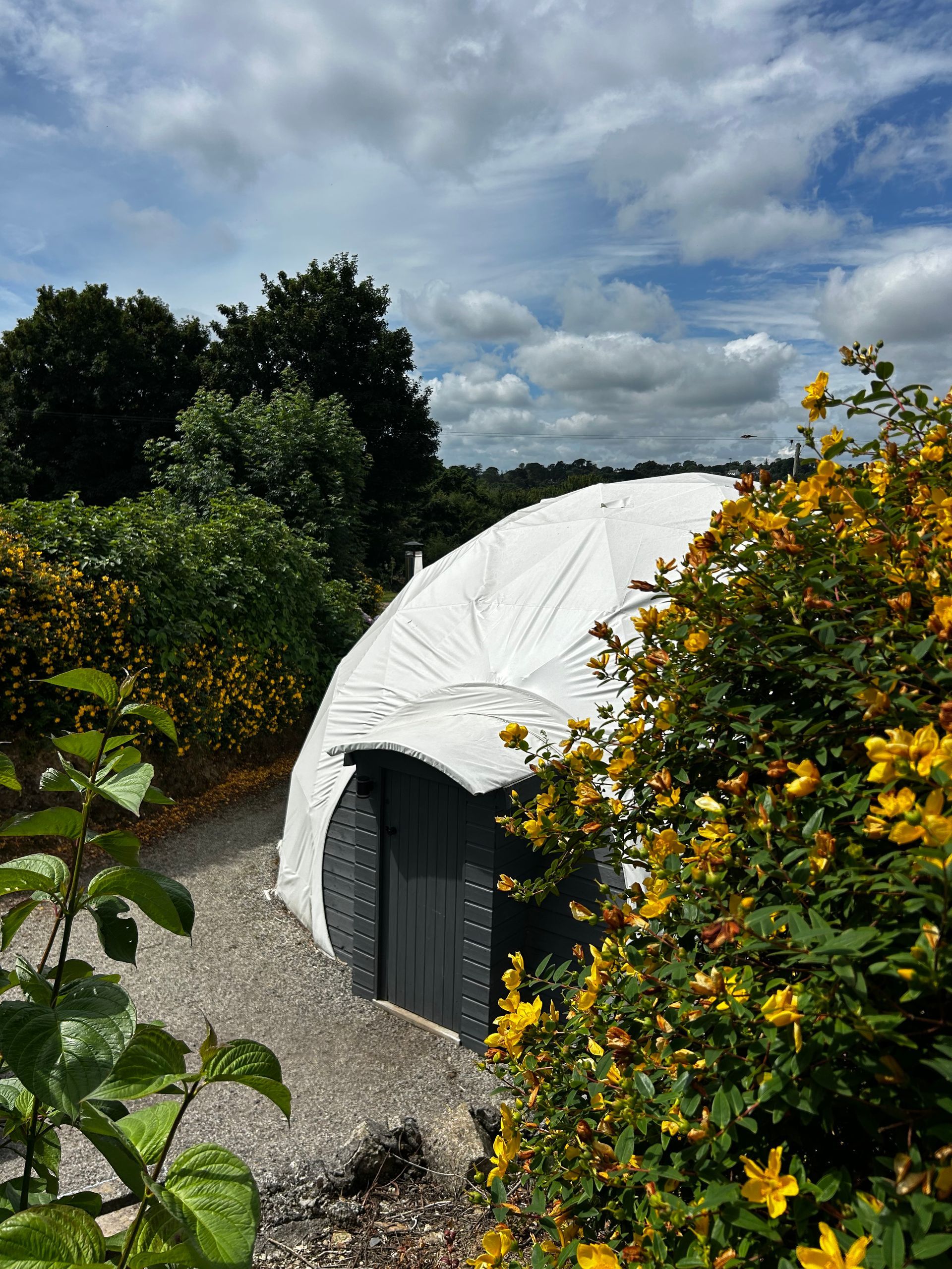 A white dome structure with a dark entrance sits on a gravel path surrounded by vibrant yellow flowering bushes.