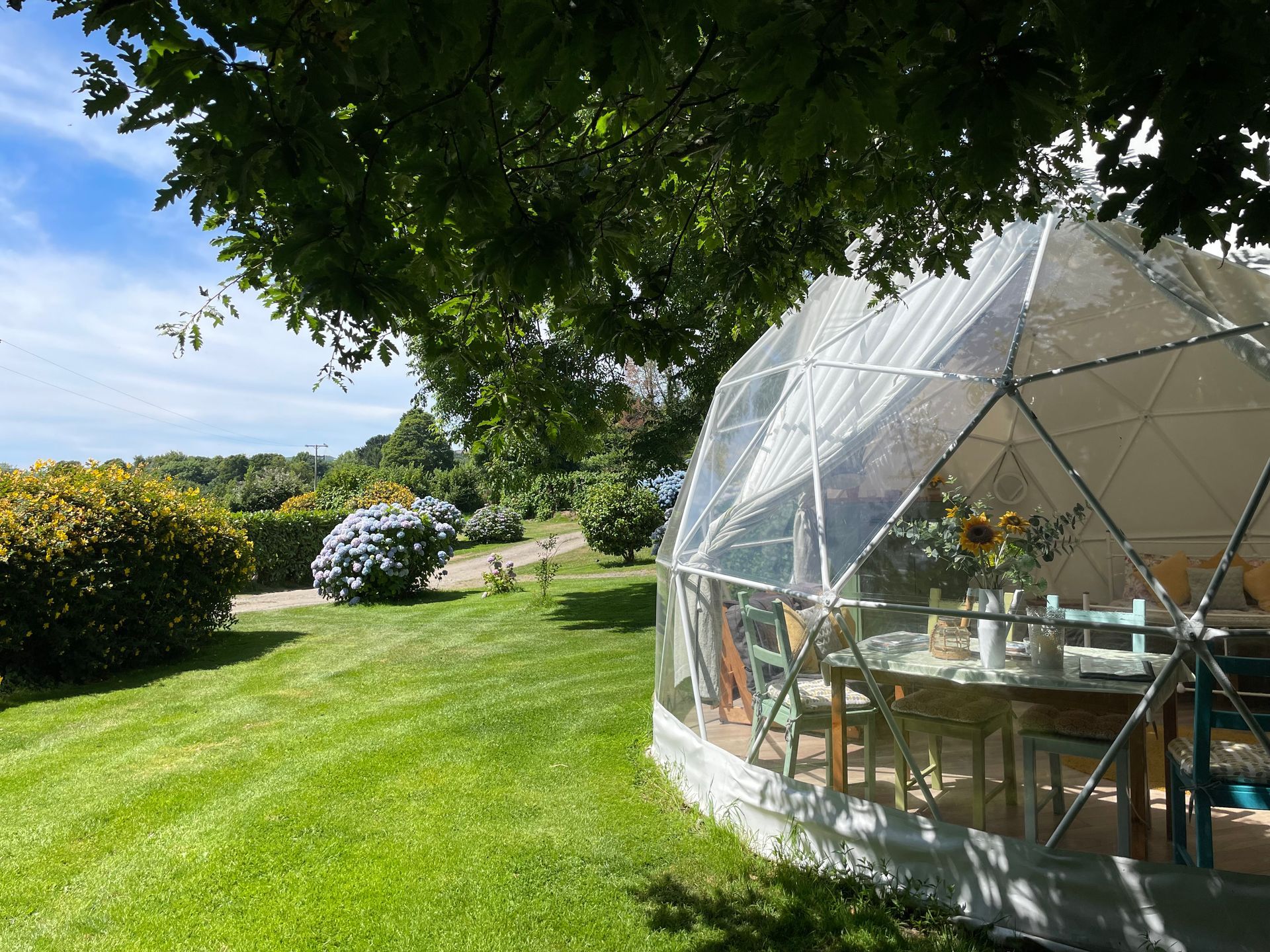 A transparent geodesic dome tent in a sunny, green garden, featuring a dining table setup inside.