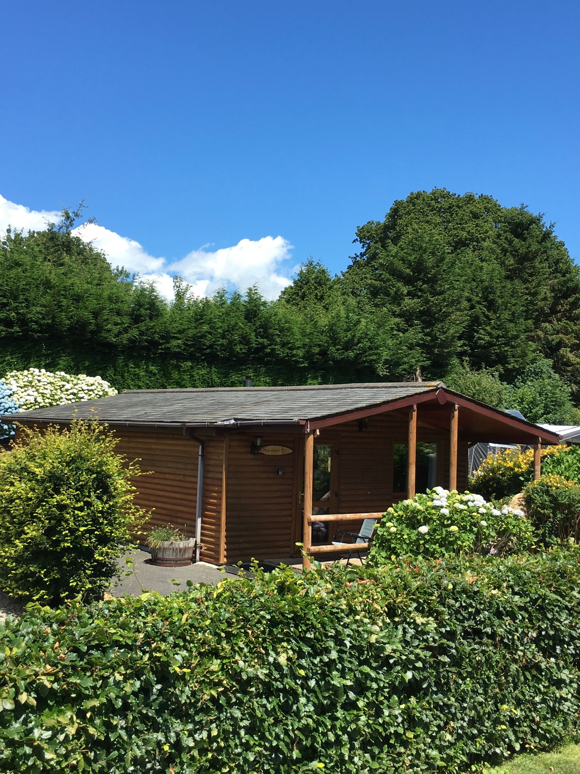 A small, brown wooden cabin with a porch sits in a garden behind a green hedge under a bright blue sky.