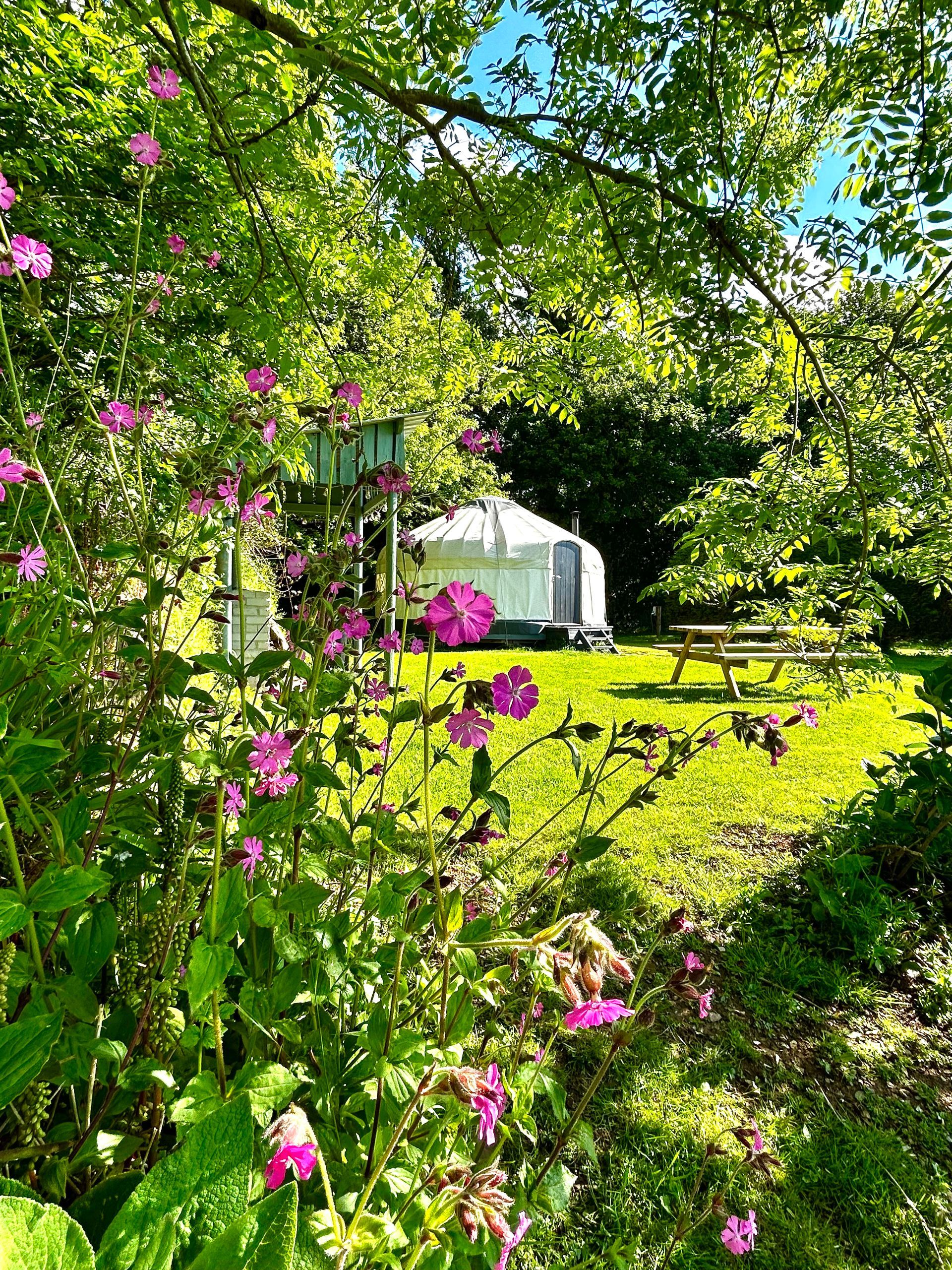 Bright pink wildflowers in the foreground frame a sunny grassy clearing with a small yurt and a wooden picnic table.