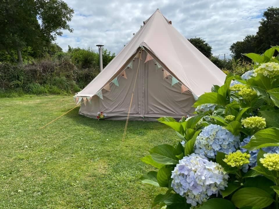 A beige bell tent sits on a grassy lawn, decorated with bunting and framed by blooming blue and yellow hydrangeas.