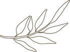 Brown leaf outline