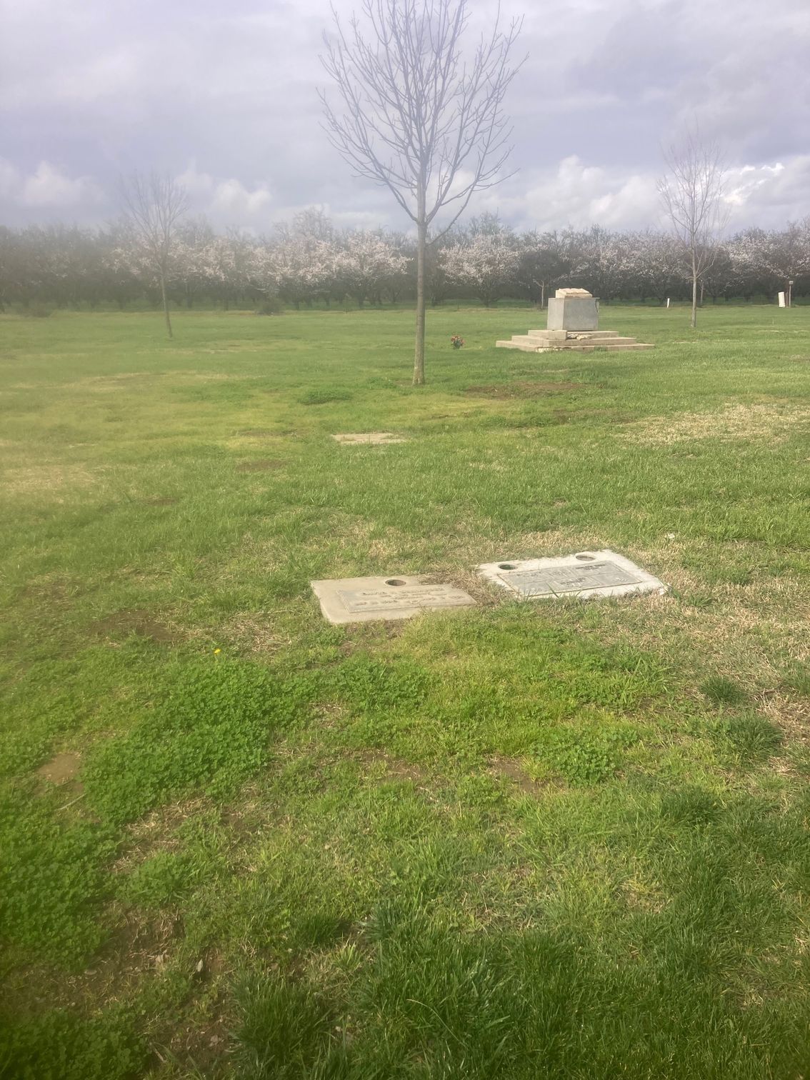 Farmington Memorial Park Cemetery grounds CA