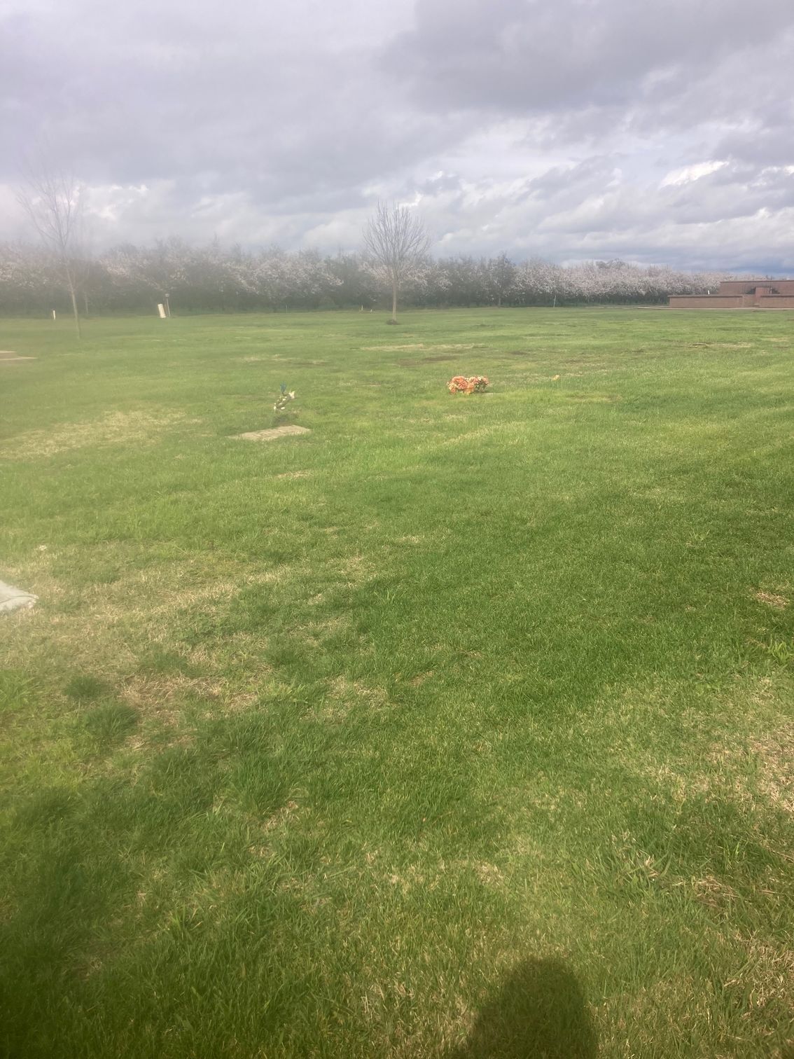 Farmington Memorial Park Cemetery grounds CA