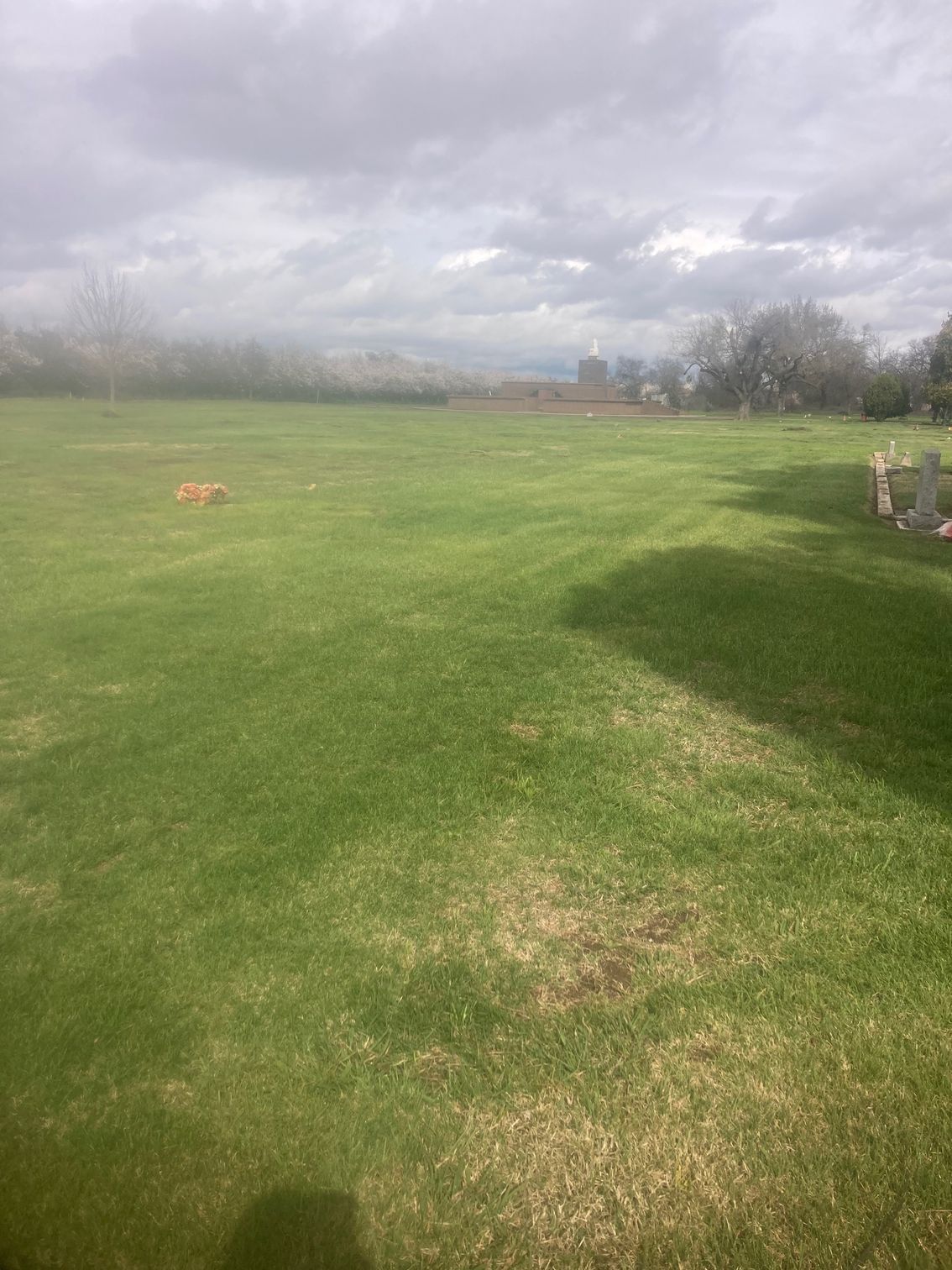 Farmington Memorial Park Cemetery grounds CA