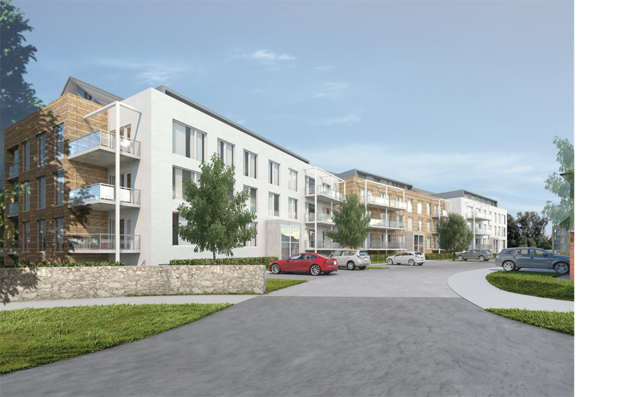 Brennanstown_Wood Brennanstown_Wood