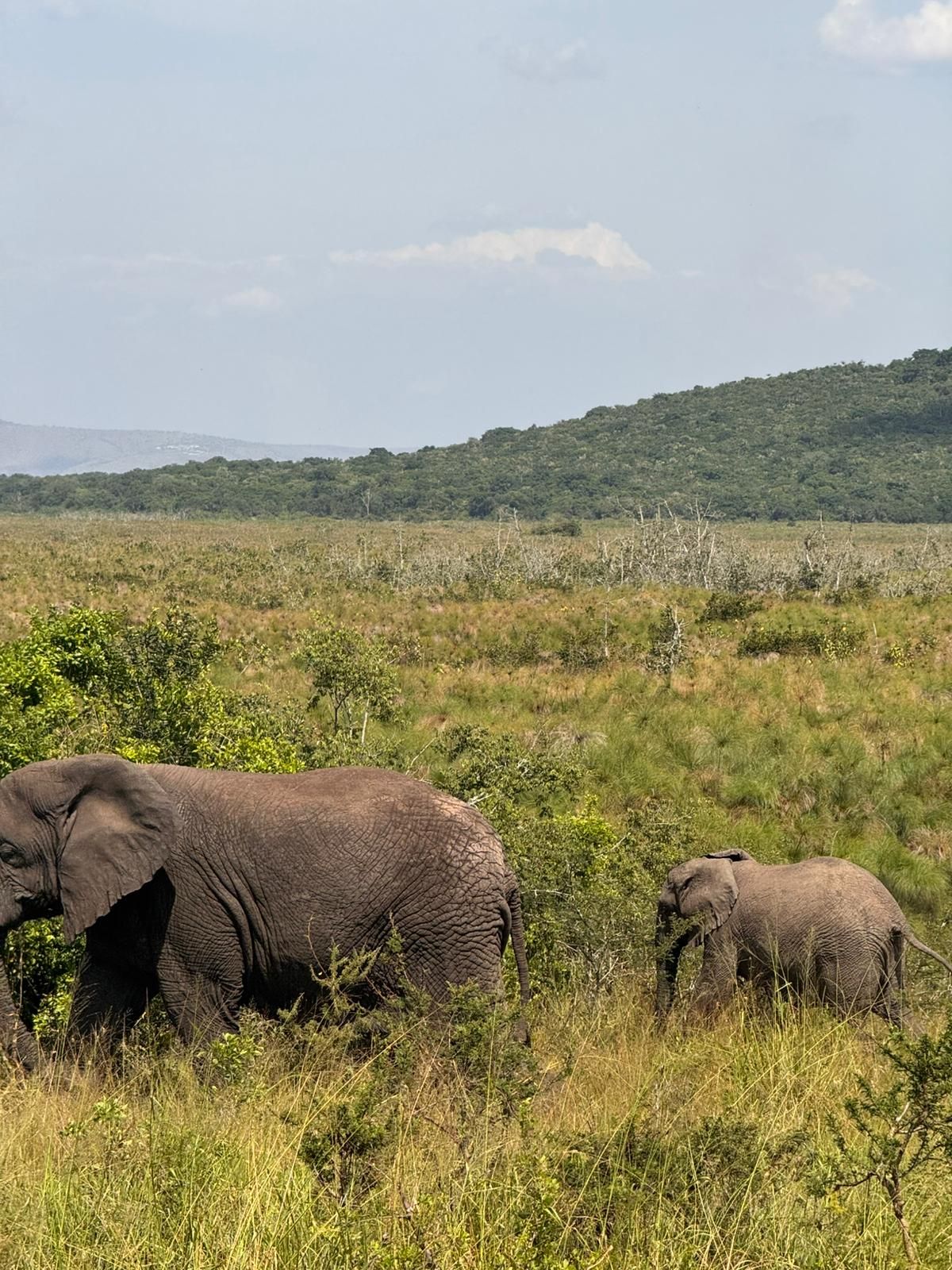 1-Day Akagera National Park Safari from Kigali