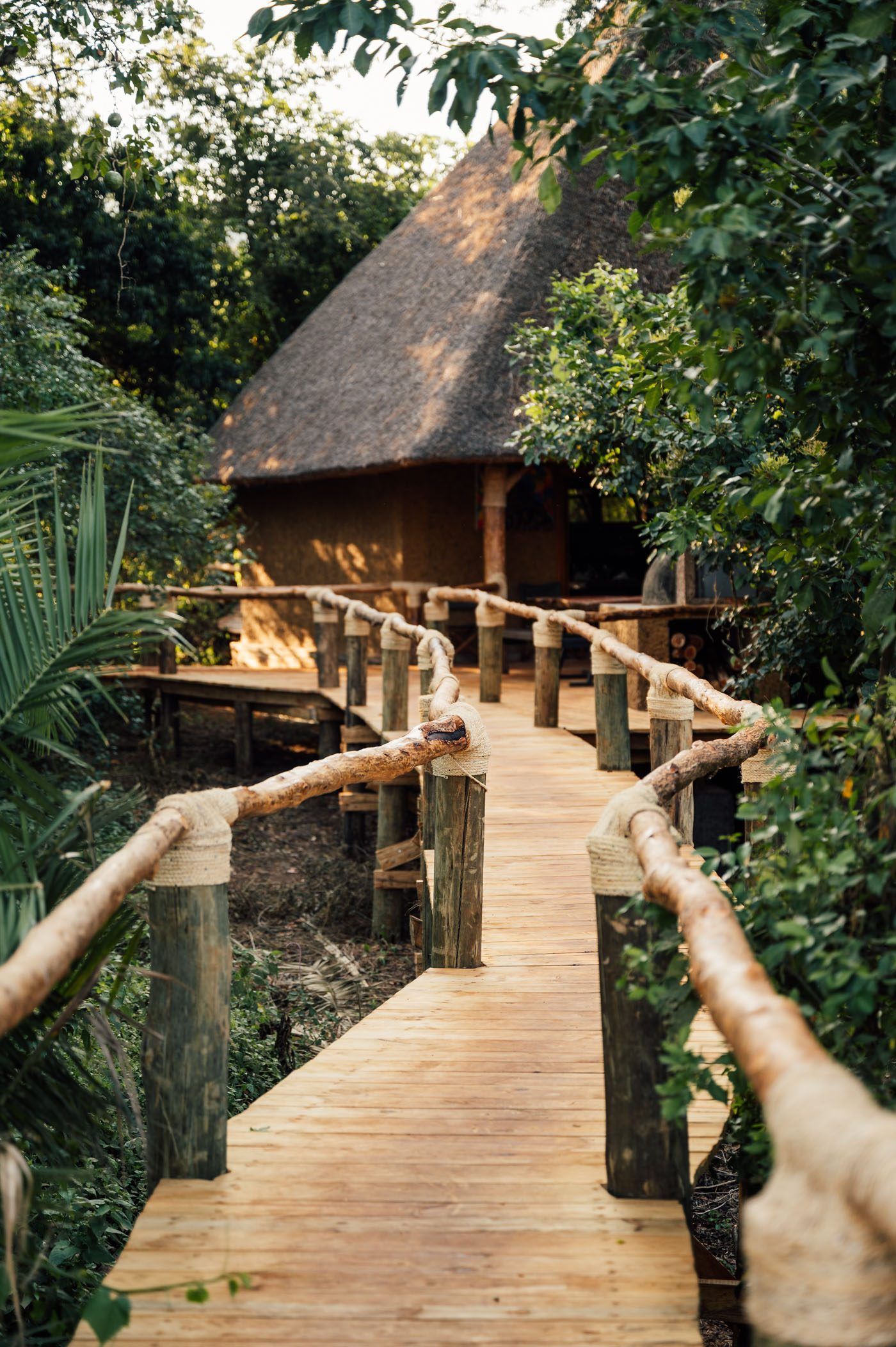 Winding wooden boardwalk through trees leading to Ruzizi Tented Lodge