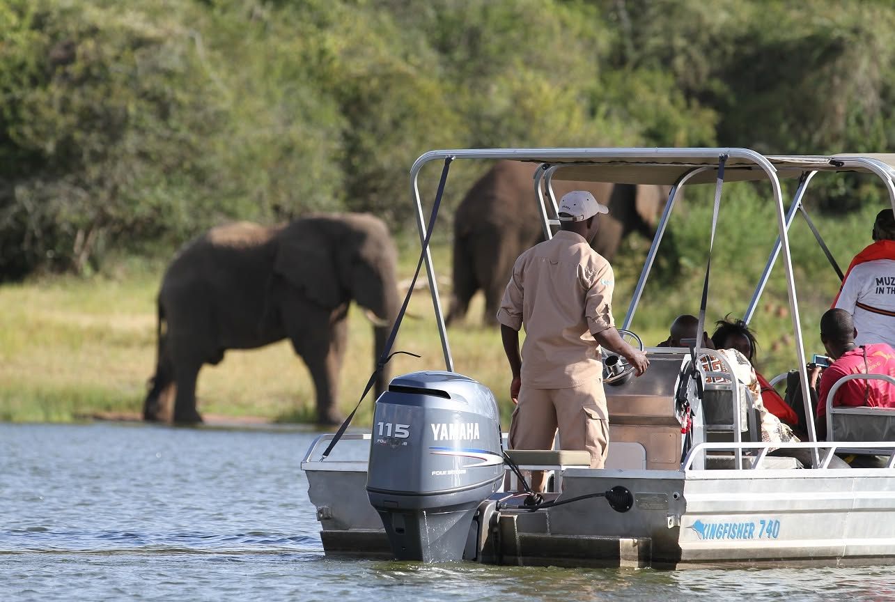Akagera national park's boat guide steering the boat towards elephants drinking from the shores of Lake Ihema