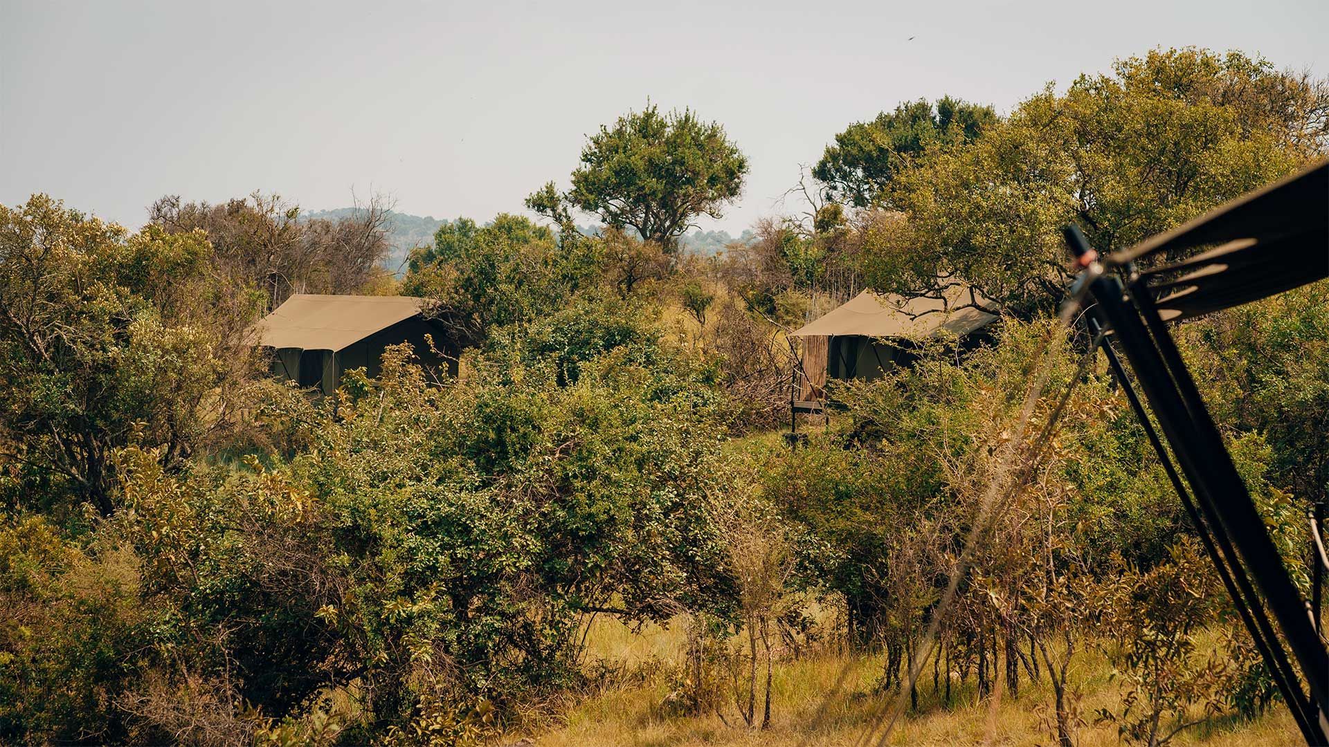 Aerial view of Karenge Bush Camp's tented rooms nestled among trees on a hillside in Akagera National Park.