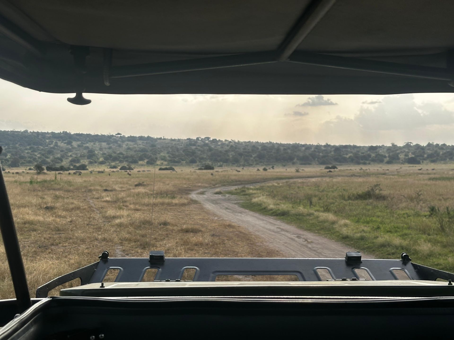 Rearview from the open hatch of a safari car exiting Akagera National Park