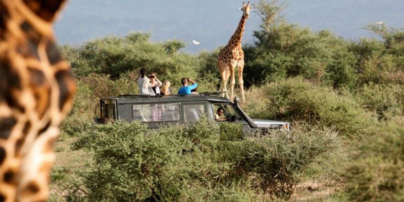 game drive experince in akagera