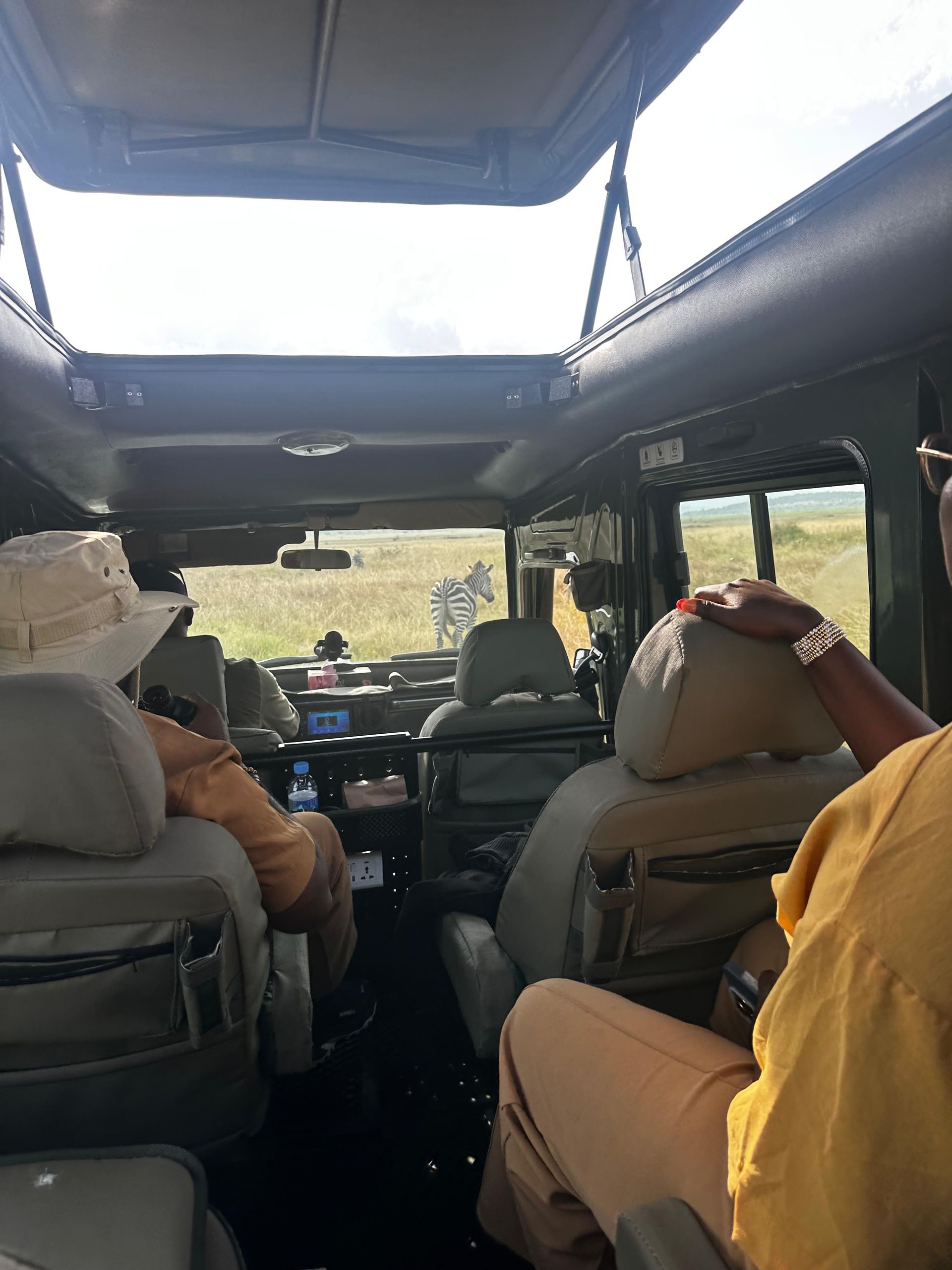 Guests inside the safari vehicle watching zebra in the distance
