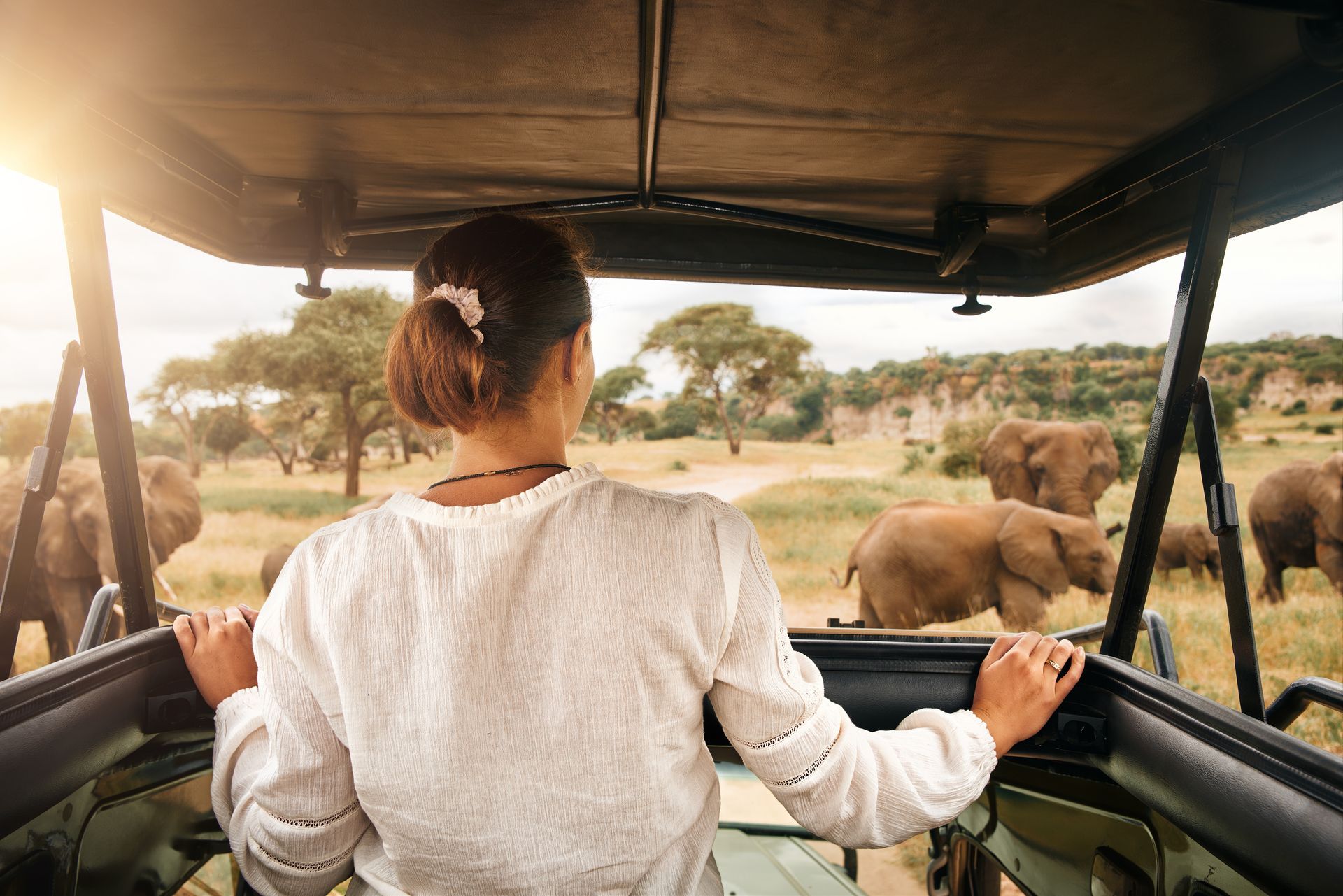 woman seeing elephants in akagera