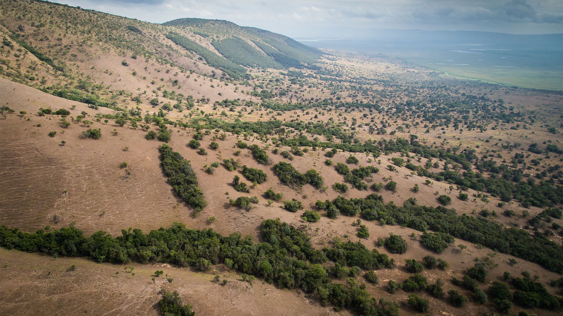 Aerial view of Akagera National Park's ridge from a tent in karenge