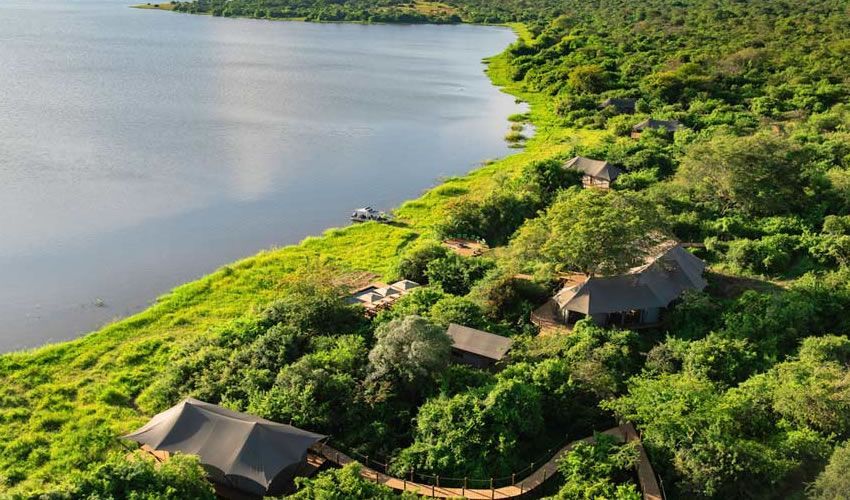 Aerial view of Magashi Wilderness Camp's tents along the shoreline of Lake Rwanyakazinga.
