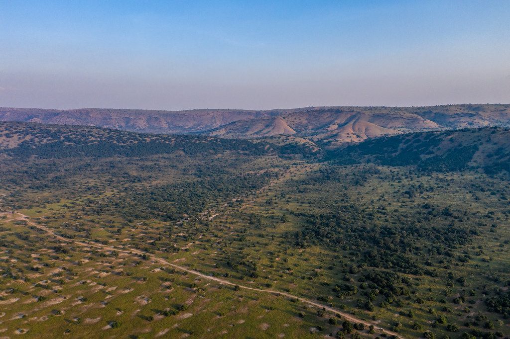 Akagera National Park aerial view of Mount Mutumba sandstone ridge and acacia woodland western boundary game drive track eastern Rwanda
