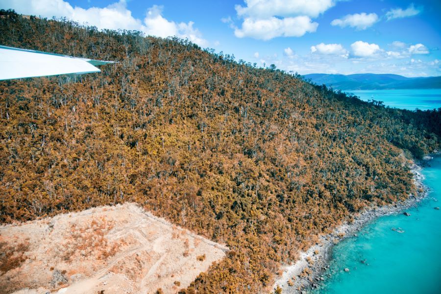 An Aerial View of a Lush Green Hillside Next to a Body of Water — Airlie Beach Garage Doors In Cannonvale, QLD
