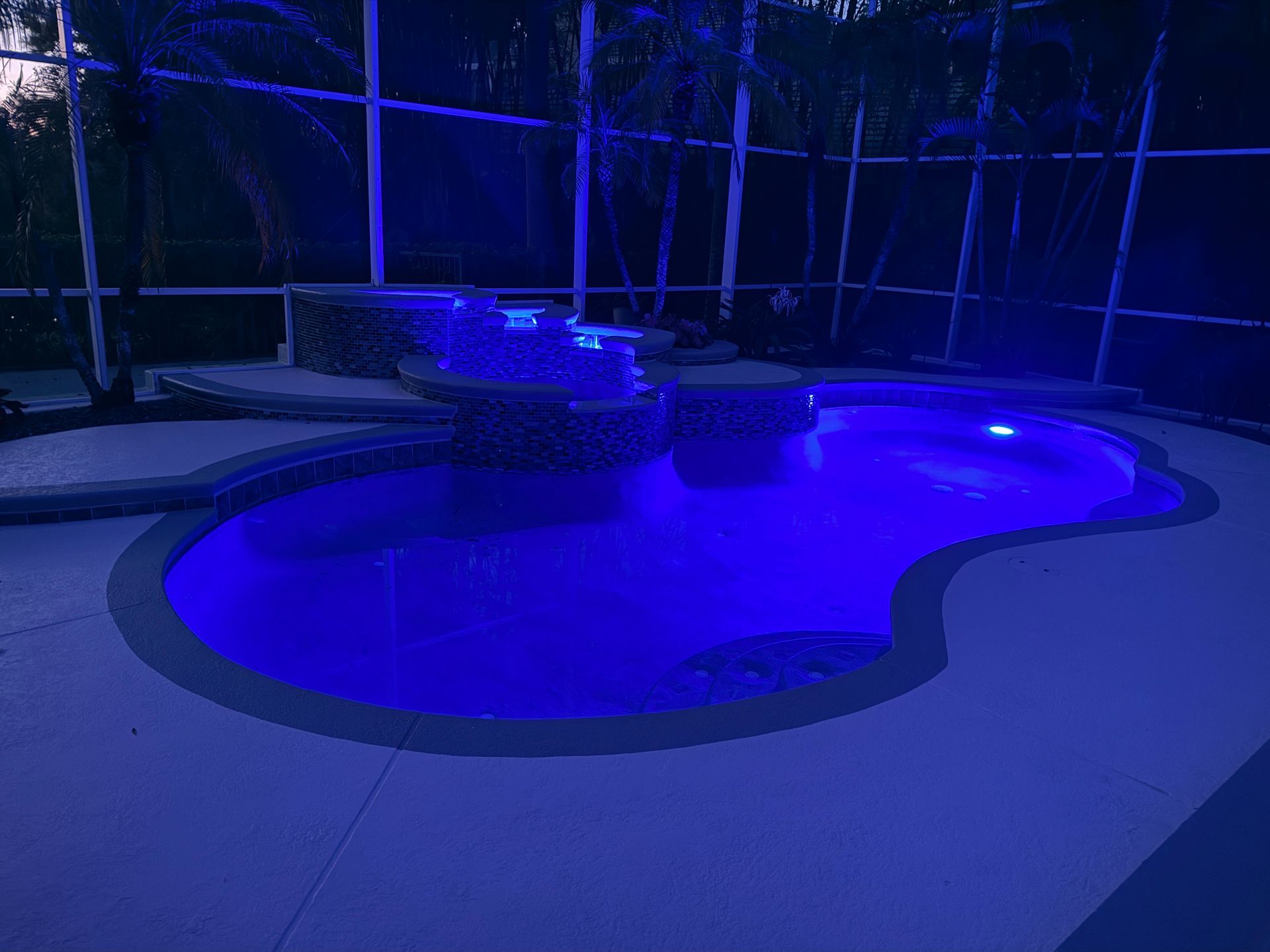 Blue-lit backyard swimming pool at night with a curved deck and surrounding trees