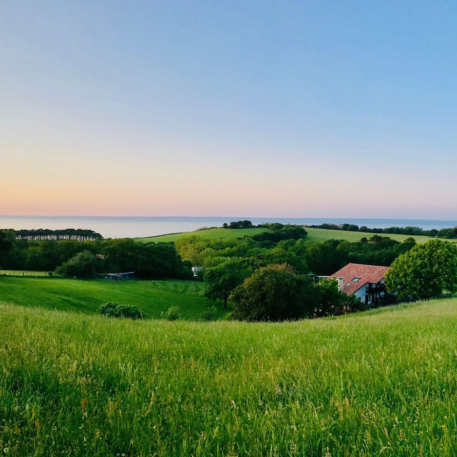 Green hillside overlooking the ocean, with a house nestled among trees under a blue sky.