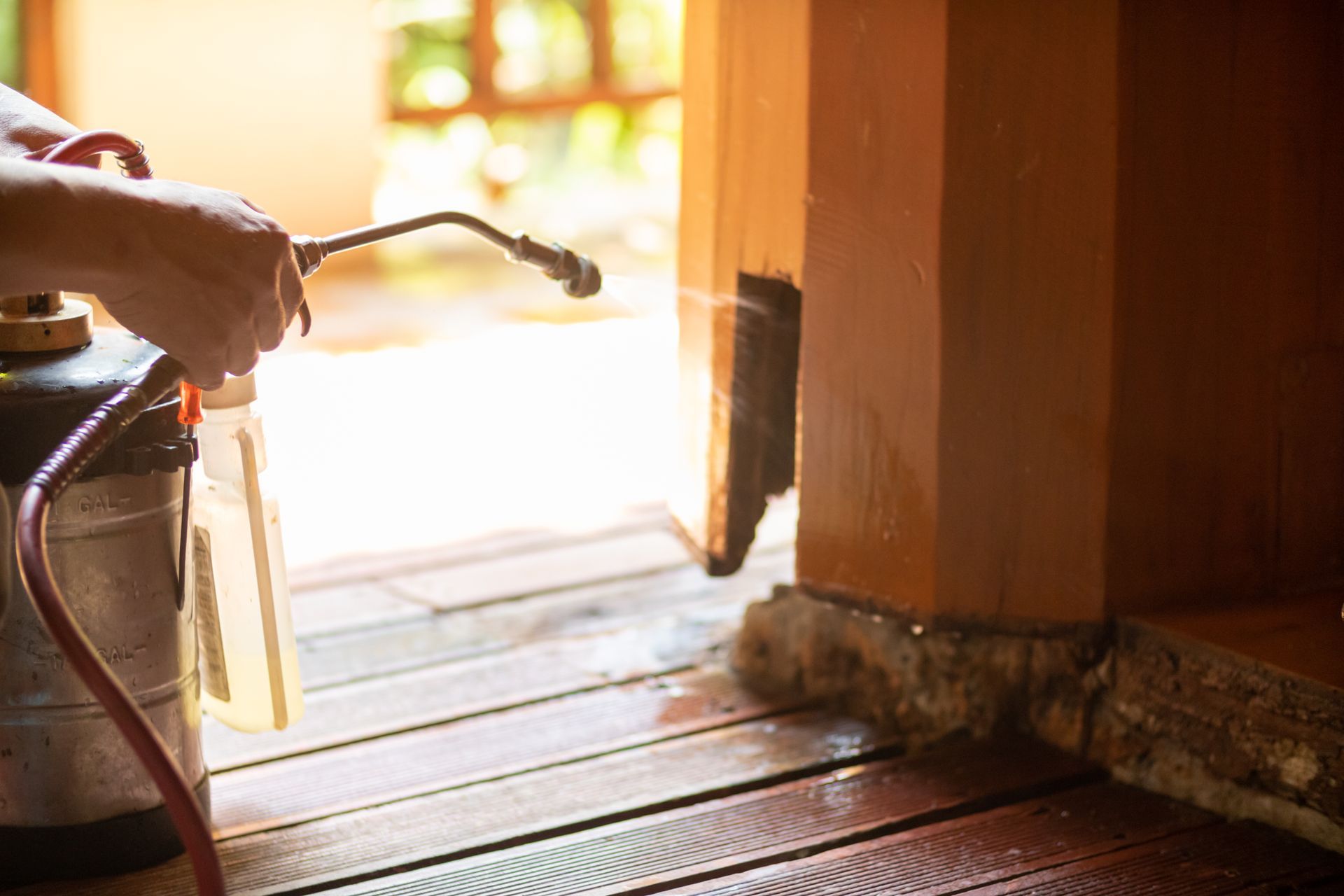 A person uses a spraying tank with pesticides to kill the termites living in the wooden base of a home. A person uses a spraying tank with pesticides to kill the termites living in the wooden base of a home.