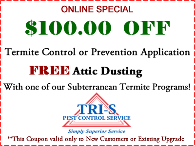 $100 OFF Termite Control Treatment $100 OFF Termite Control Services, FREE Attic Dusting