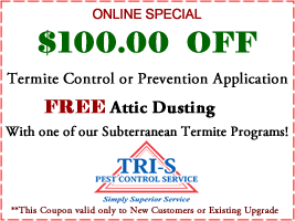 $100 OFF Any New Termite Control Treatment