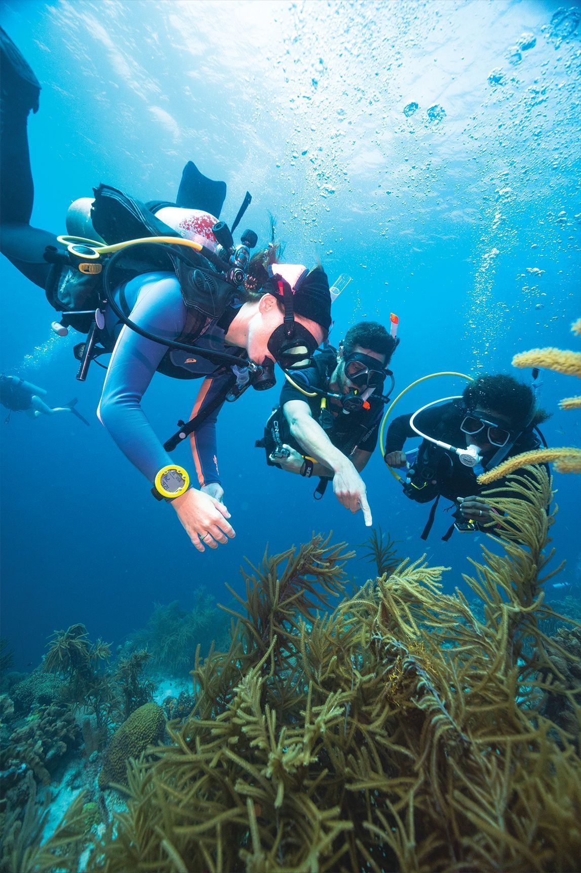 Divers in scuba gear swimming over coral reef with fish in clear blue water