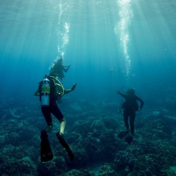 Two scuba divers underwater over a coral reef, with sunbeams filtering through blue water
