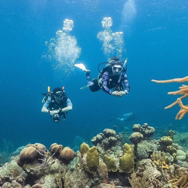 Two scuba divers swimming above a coral reef in clear blue water