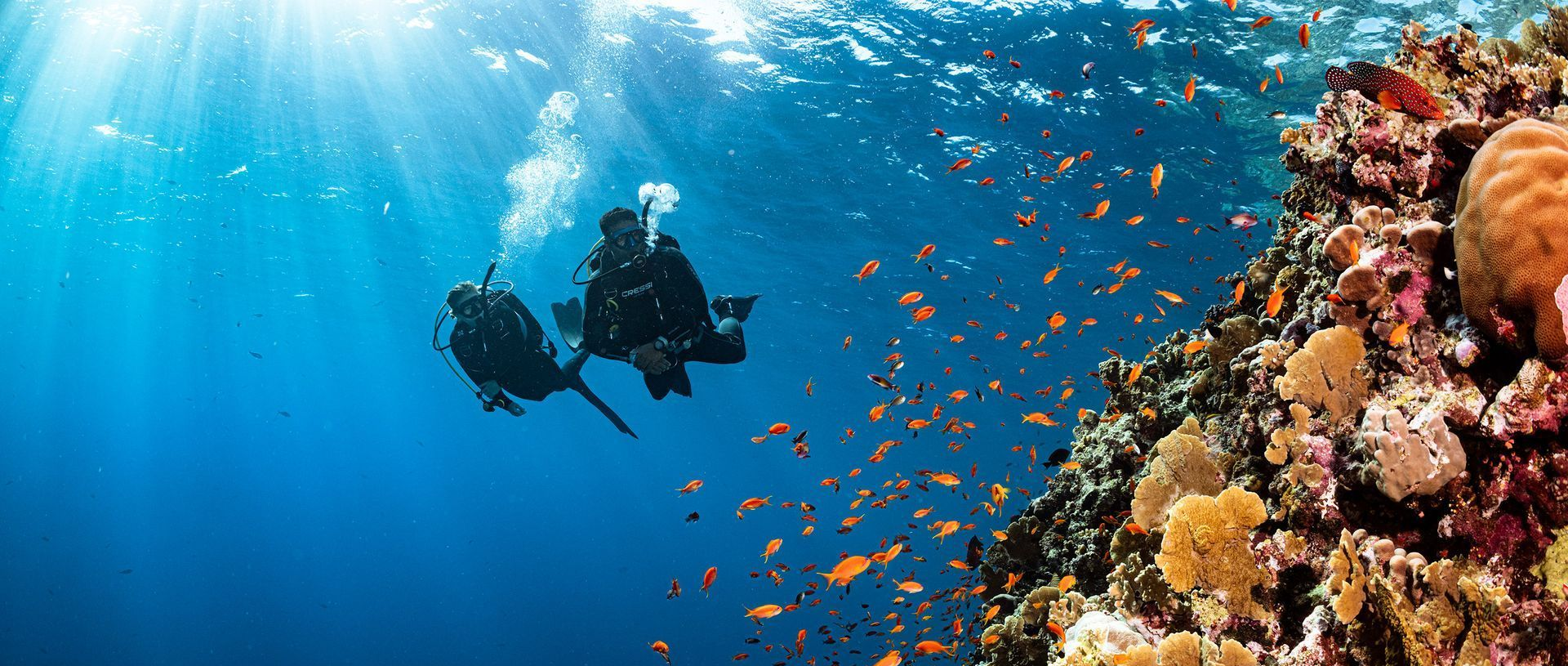 Scuba diver swimming in blue ocean beside a vibrant coral reef and schools of fish