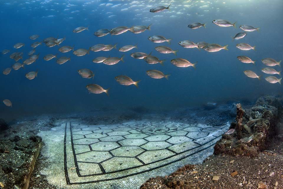 Underwater view of fish swimming above a tiled artificial reef on the ocean floor