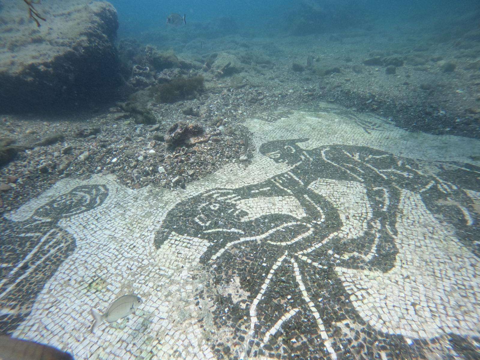 Underwater mosaic of a large dark sea turtle on a white stone seabed