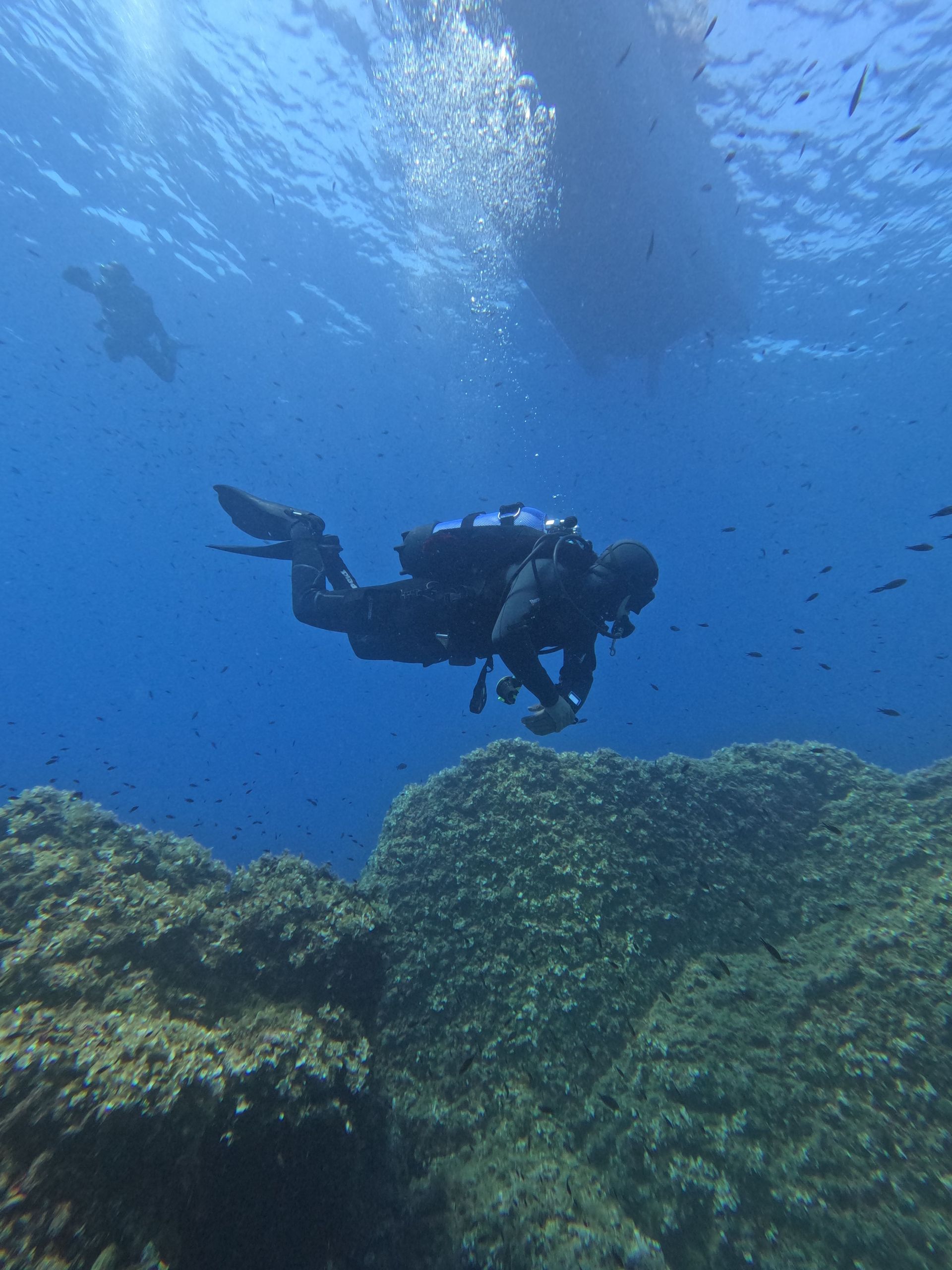 Scuba diver swimming over coral reef in clear blue ocean water